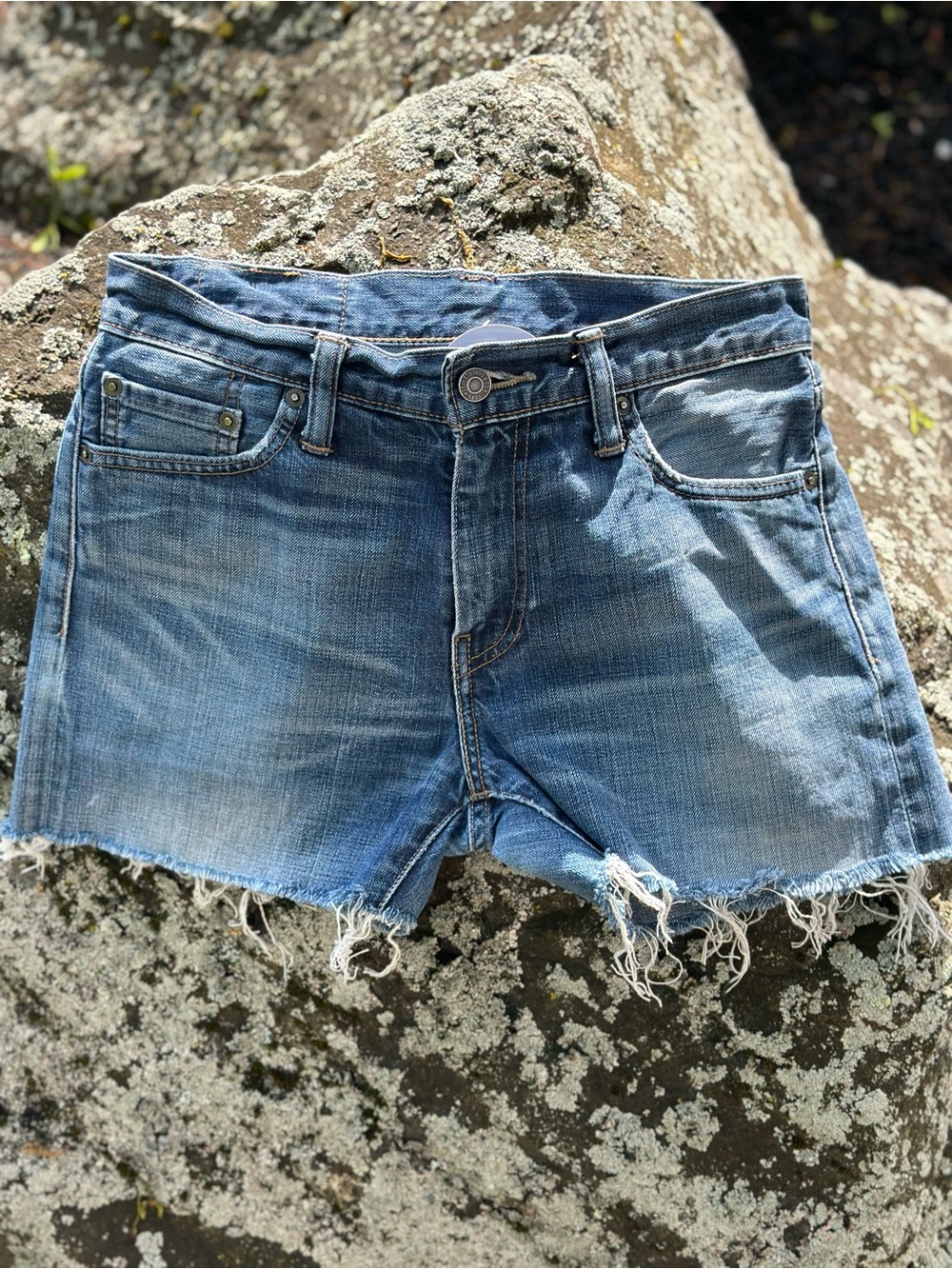 Levi's Cutoff Shorts